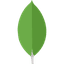 Tech mongodb.png